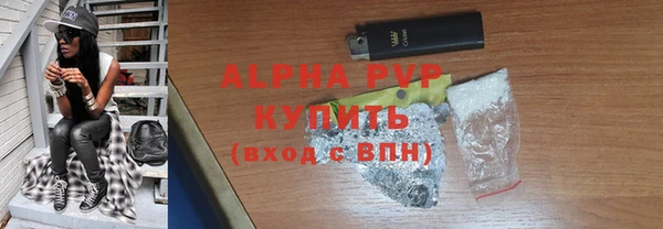 прущие грибы Богородицк