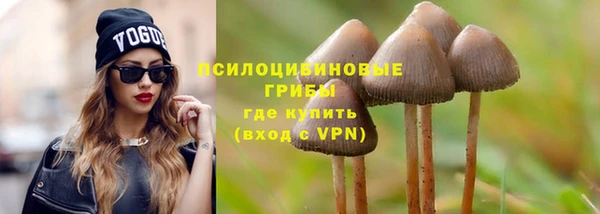МДПВ Арсеньев