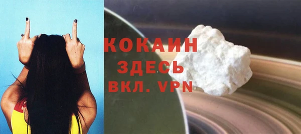 прущие грибы Богородицк