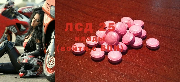 прущие грибы Богородицк