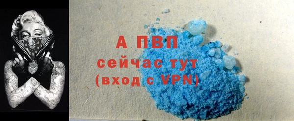 прущие грибы Богородицк